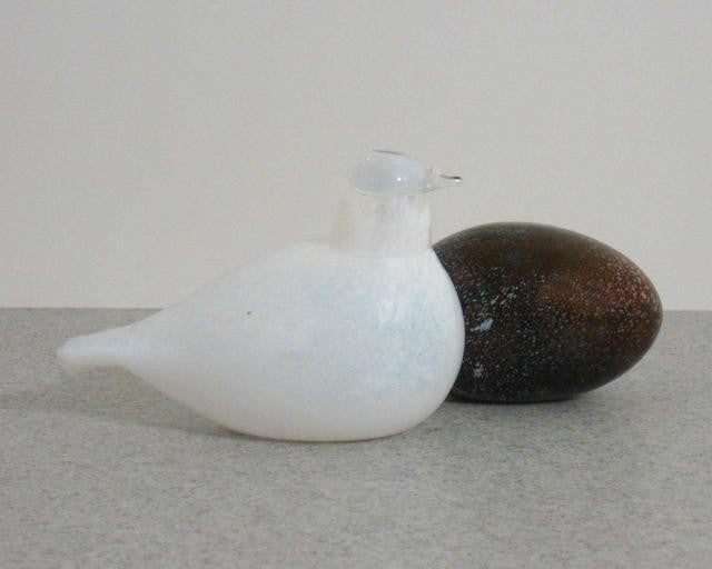 iittala Toikka White Little Tern - Toikka Bird Guide – GlassBirds.com
