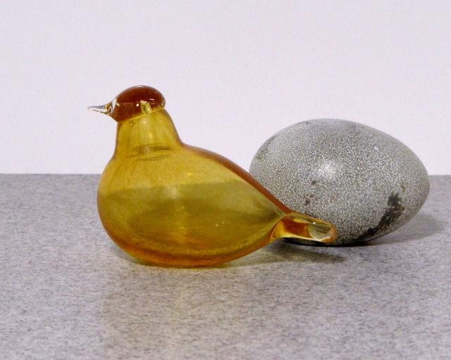 iittala Toikka Yellow Little Tern - Toikka Bird Guide – GlassBirds.com