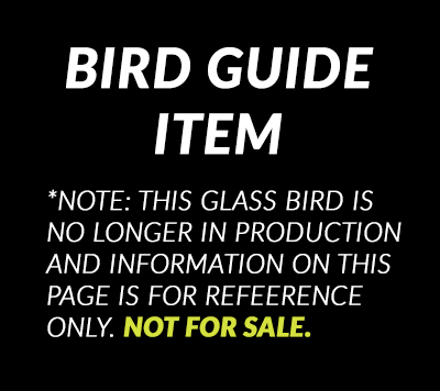 iittala Toikka Beach Kiwi - Discontinued Toikka Birds – GlassBirds.com