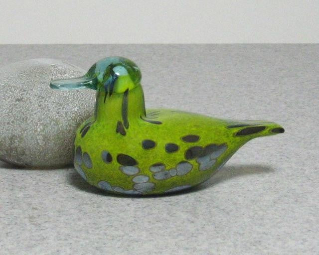 iittala Toikka Baby Common Teal - Toikka Bird Guide – GlassBirds.com