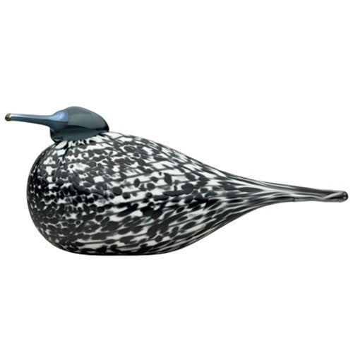 Toikka Bird Guide – GlassBirds.com